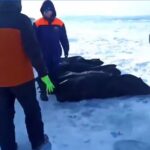 Тела погибших в утонувшей у Ольхона &laquo;буханке&raquo; туристов подняли со дна
